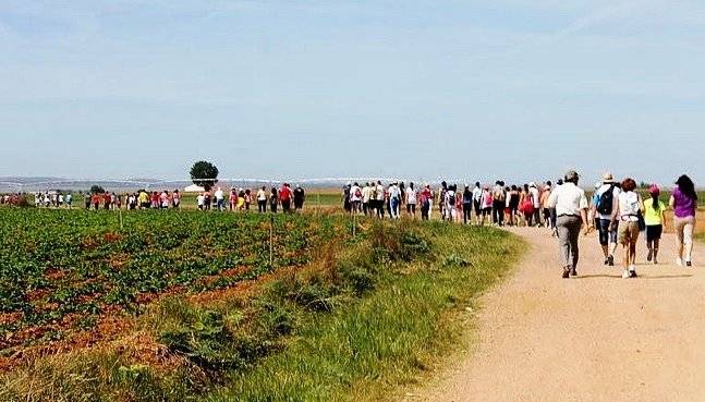 XXVI Marcha Solidaria Cantalpino –Las Vilas y Operación bocata