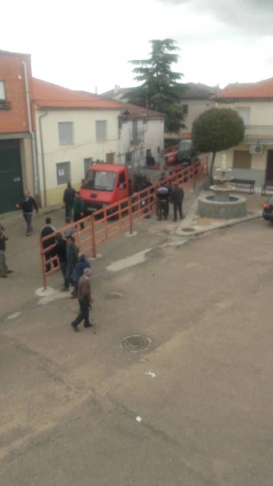 La ACTC ultima detalles para celebrar el Toro de San Isidro.
